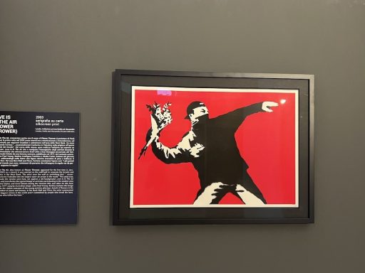 Banksy prints exhibition 7