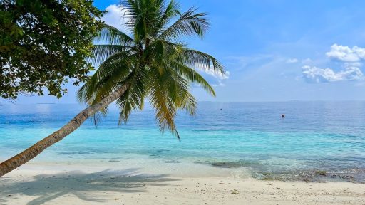 fihalhohi maldives photos 2