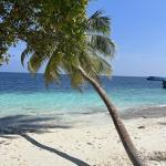 Fihalhohi Island Resort Maldives 10