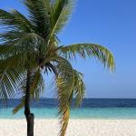 Fihalhohi Island Resort Maldives 13