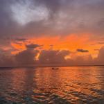 Fihalhohi Island Resort Maldives 14