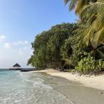 Fihalhohi Island Resort Maldives 15