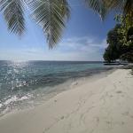 Fihalhohi Island Resort Maldives 2