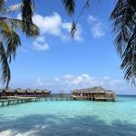 Fihalhohi Island Resort Maldives 4
