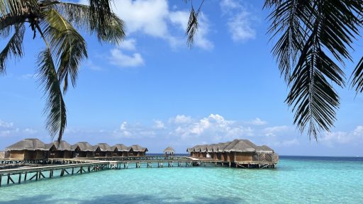 Fihalhohi Island Resort Maldives 4