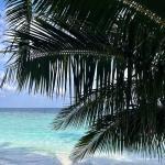 Fihalhohi Island Resort Maldives 6