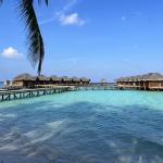Fihalhohi Island Resort Maldives 9