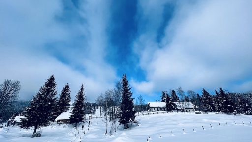 pot pokljuka rudno polje uskovnica 14