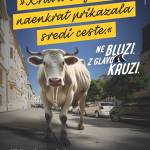 NeBluzi Krava
