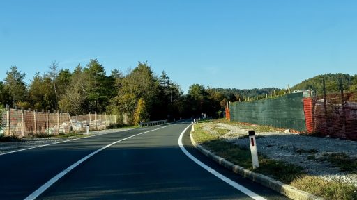 jelsane svinjarija 2