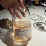 Zemono Pri Lojzetu 4