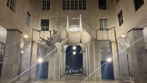 Brescia Rhino
