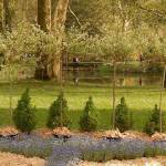 Arboretum 3