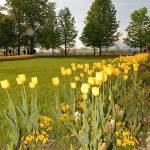 Arboretum 10