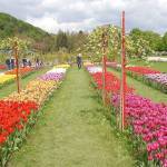 Arboretum 13