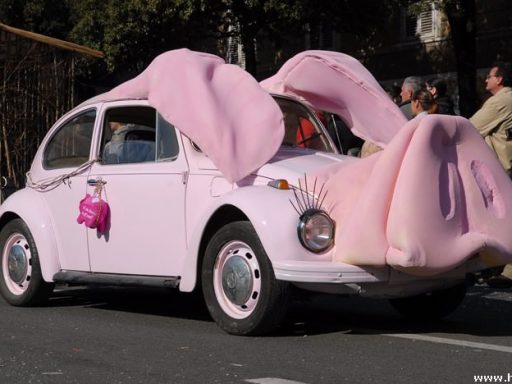 Karneval Reka 2007 5