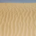 Tunizija - Djerba 14