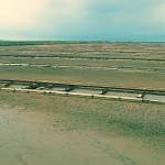 Soline 8