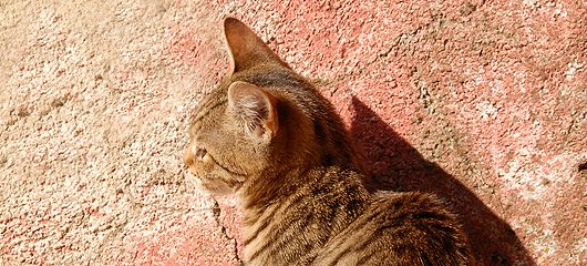 muca-na-fotografijah-02.jpg