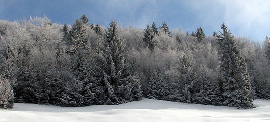 sprehod-po-snegu-slike-03.jpg