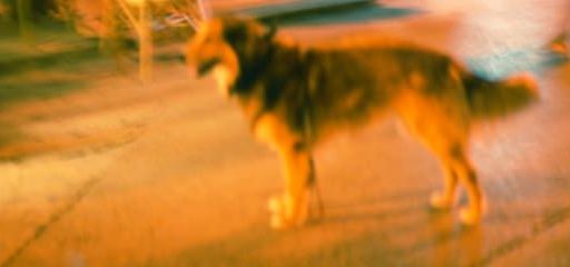 Blurred photos 3