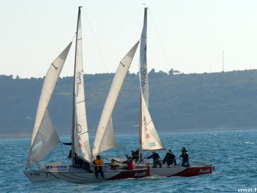 Dnevnikova regata na SOFu 1