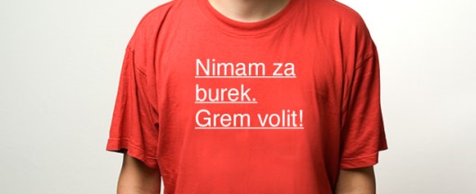 Štiri leta je bilo dovolj - Grem volit 3