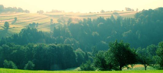 Čemšeniška planina v soboto zjutraj 17