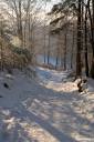 Zimska idila - Let it snow 14