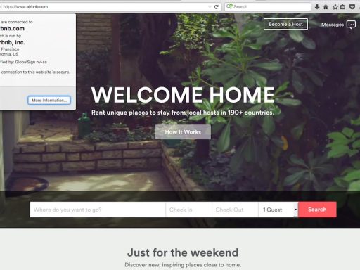 Airbnb, novinarka Damijana Žišt in goljufija