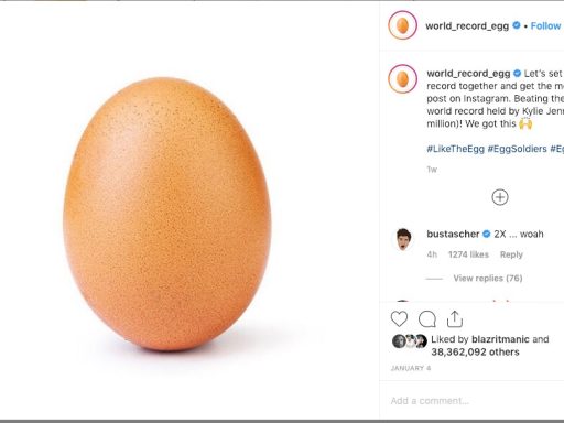 world record egg