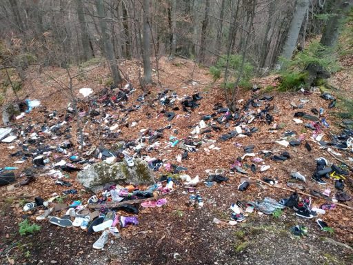 Deichmann onesnazuje naravo