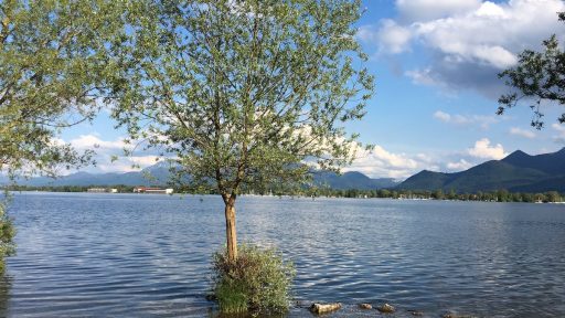 Skok v Kimsko jezero Chiemsee1