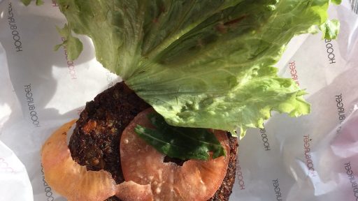 Hoodburger fak of in nikoli vec11