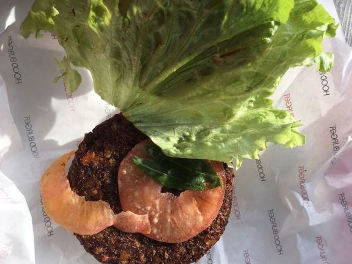 Hoodburger fak of in nikoli vec11