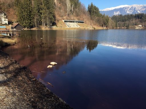 Blejsko jezero je rdece 1