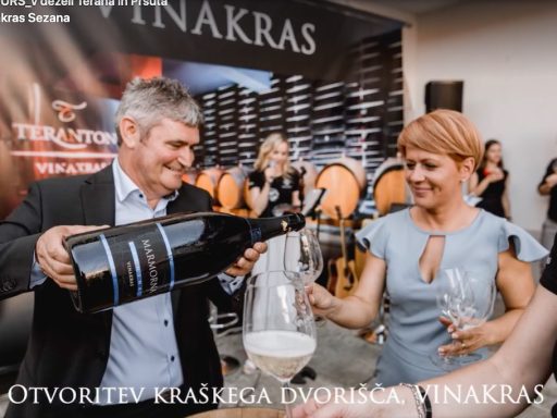 Aleksandra Pivec Vinakras