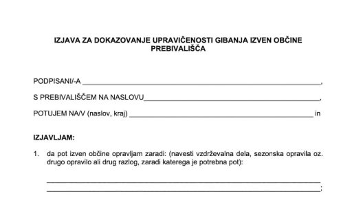 Izjava