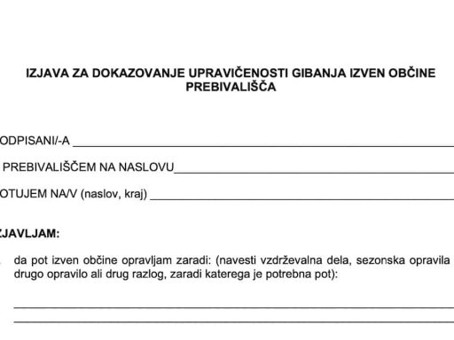 Izjava