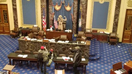 capitol terrorist