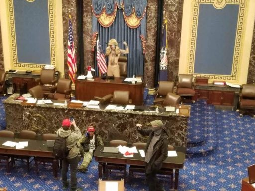 capitol terrorist