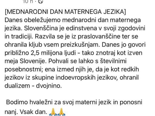 dualnost dvojnina 2