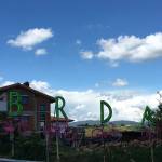 Goriska Brda Giro DItalia 2021 5