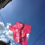 Goriska Brda Giro DItalia 2021 6