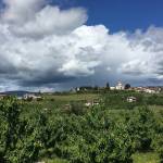 goriska brda 4