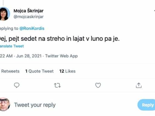mojca skrinjar sds