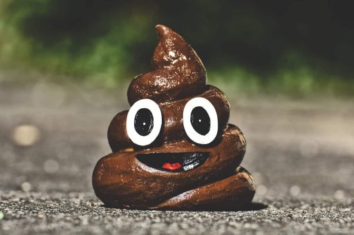 poop minister vizjak mafija