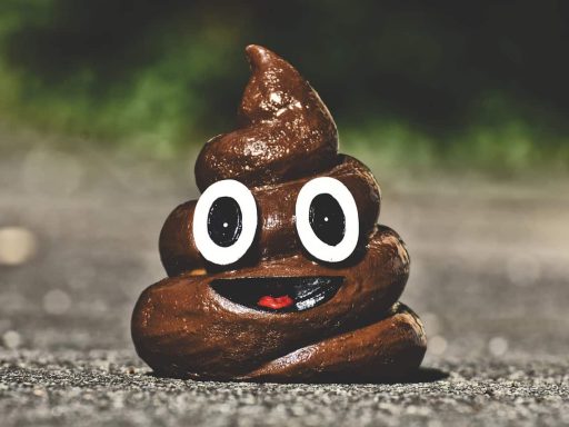 poop minister vizjak mafija