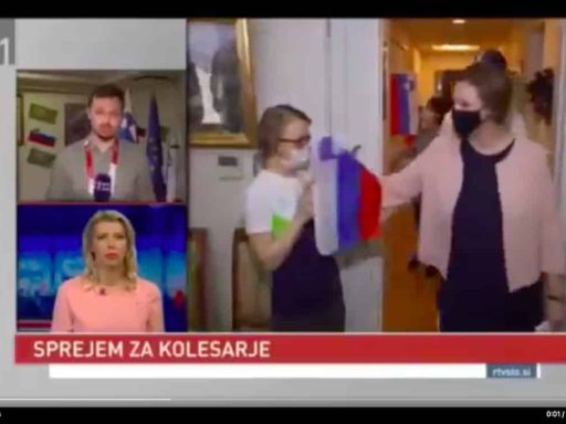ana petric iztrga zastavo