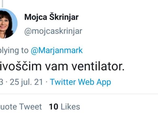 mojca skrinjar